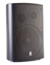 Акустическая система Roxton MS-40T