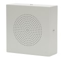 Настенный громкоговоритель металлический вандалозащищенный Roxton WS-06T